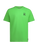 Camp Vibes Mns Organic Cotton S/S Tee - Lizzard