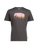 Tree Line Mns Organic Cotton S/S Tee - Shale